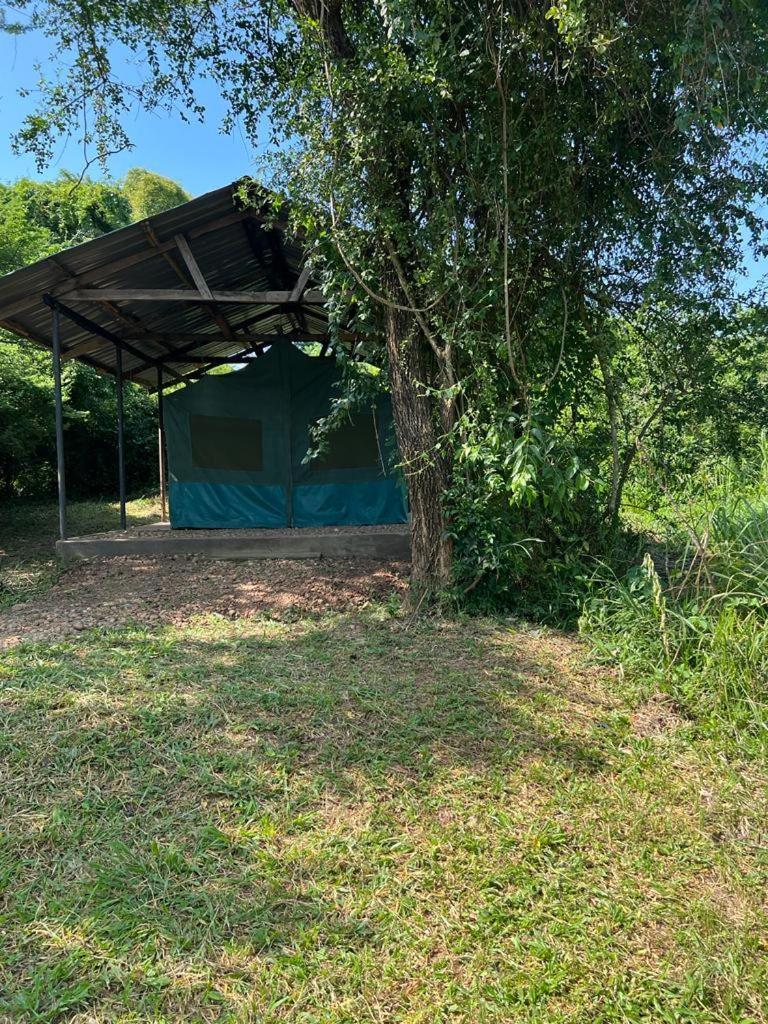 Murchison Giraffe Camp Paraa Kültér fotó